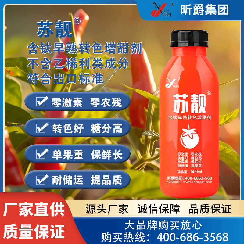 苏靓