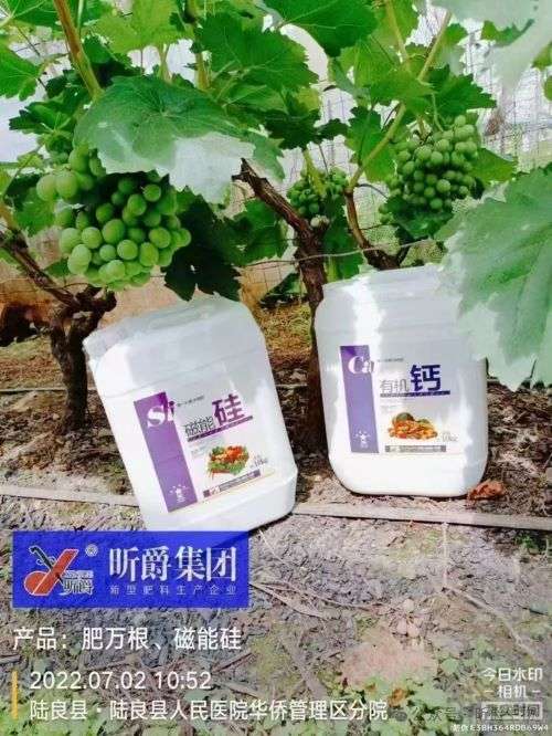 昕爵酸性硅肥，复配性强！利用率高！
