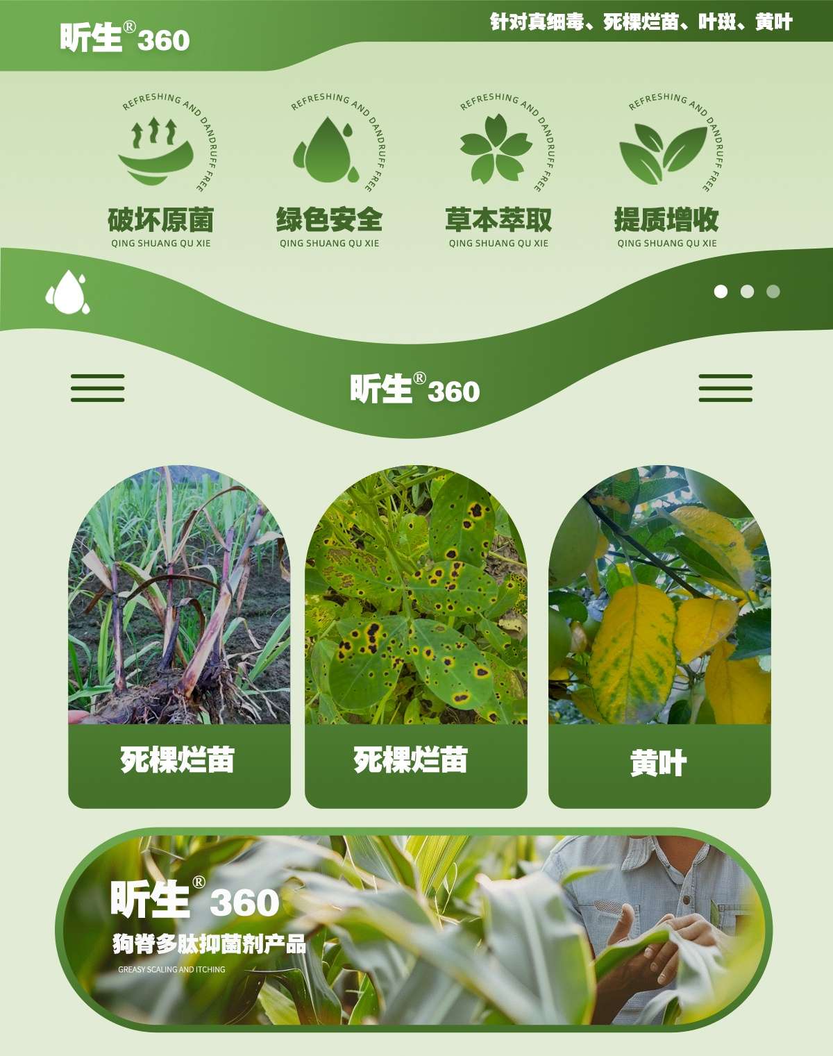 狗脊多肽抑菌剂产品昕生360