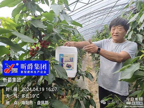 昕爵有机磁能酸性硅为什么会受很多农民的青睐？